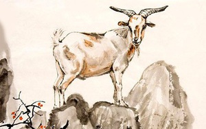 3 con giáp may mắn nhất trong năm 2023: Vận đỏ như son, đổi đời ngoạn mục, nếu biết nắm bắt cơ hội thì phát tài phát lộc, tiền vàng ngập két
