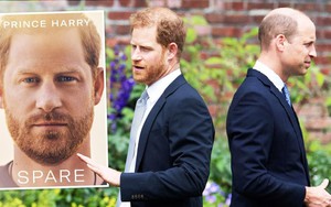 Hoàng tử Harry kể xấu và công kích anh trai William trong sản phẩm mới, giãi bày uất ức khi không được thừa kế ngai vàng
