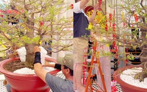 Đẳng cấp nữ đại gia Đoàn Di Băng chơi hoa Tết: Cây mai cực đẹp, 4 người khiêng mới nổi