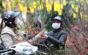 Bắc Bộ và Bắc Trung Bộ duy trì tình trạng rét từ ngày 30 đến mùng 8 Tết Quý Mão 2023