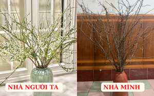 Dân mạng “khóc thét” vì chưng tuyết mai mà tưởng cành củi khô, mãi không thấy nở: Đúng là bộ môn mạo hiểm ngày Tết!