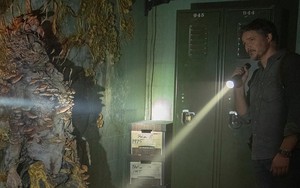 Giải mã loài nấm ký sinh có thể biến vật chủ thành ‘zombie’ đã truyền cảm hứng cho The Last Of Us