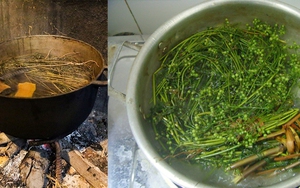 Chiều 30 Tết, bận mấy cũng phải đun 1 nồi nước lá mùi già cho cả gia đình tắm để sức khỏe ngập tràn!