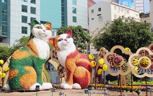 Giờ tốt, hướng đẹp ngày mồng 6 Tết Quý Mão 2023