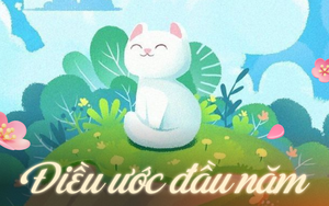 Ước năm nay luôn chấm công đúng giờ, không bị đau cột sống để chạy deadline, ước có nhà có xe có bồ!!!