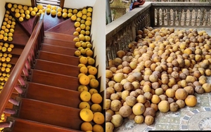 Cảnh tượng ở nhiều gia đình miền Bắc ngày Tết: Bưởi chất khắp nơi khiến ai cũng choáng ngợp và lý do thú vị phía sau