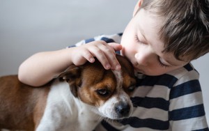 Khi trẻ em hành hạ động vật: Biểu hiện tâm lý cần quan tâm nhưng đa phần bị phụ huynh bỏ qua