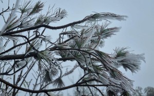 Không khí lạnh tăng cường gây rét đậm tại miền Bắc