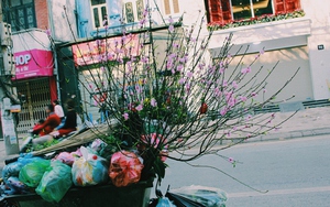 Hết Tết: Khoa học khuyên bạn nên nghỉ thêm 1 ngày để không mắc 'hội chứng ủ rũ sau kỳ nghỉ'