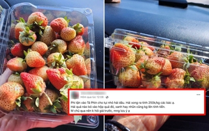 Đầu năm 'bóc phốt' vườn dâu tại Sa Pa nhưng nữ du khách lại bị cộng đồng mạng phản đối vì quá vô lý