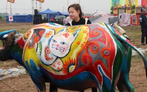 Hội thi vẽ trang trí trâu Lễ hội Tịch điền Đọi Sơn 2023