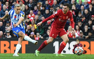 Dự đoán tỉ số Brighton vs Liverpool (20h30, 29/1): The Kop thành cựu vô địch