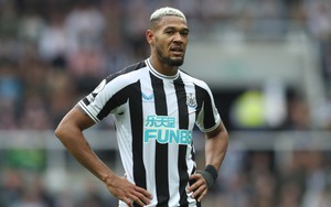 Lịch thi đấu bóng đá hôm nay 31/1: Newcastle vs Southampton