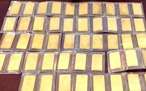 Truy lùng đối tượng trộm hơn 100 lượng vàng, trị giá hơn 4 tỷ đồng