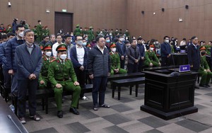 Tổng Giám đốc AIC Nguyễn Thị Thanh Nhàn bị tuyên phạt 30 năm tù