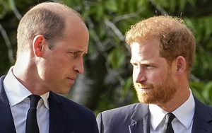 Vừa gây chiến xong lại muốn làm hòa, rốt cục thì Vương tử Harry đang có ý định gì?