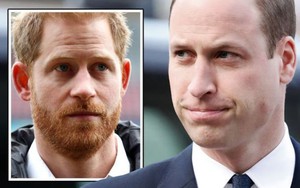 Chấn động: Vương tử Harry kể tội William có 'tác động vật lý' với mình trong hồi ký sắp ra mắt?