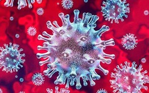 Dịch Covid-19: Thành phố Hồ Chí Minh chưa phát hiện biến thể phụ XBB.1.5​