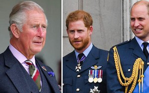 Hoàng tử Harry tiết lộ về phản ứng của Vua Charles trước vụ xô xát của hai con trai, chỉ một câu nói cũng khiến nhiều người thương cảm