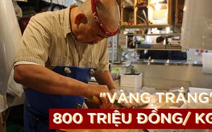 Loại thịt này quý đến mức được gọi là "vàng trắng" tại Nhật: Giá hơn 800 triệu đồng/kg, không phải cứ giàu là mua được