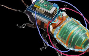 Biến gián thành trinh sát đi cứu người gặp nạn 