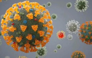 Thế giới cần cảnh giác với biến thể phụ XBB của virus SARS-CoV-2