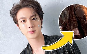 Jin BTS có vai trò gì trong quân ngũ?