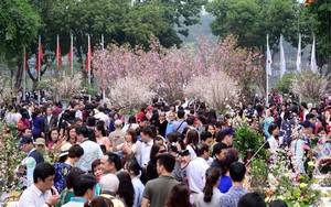 Lễ hội Hokkaido tại Hạ Long: Hội nhập văn hóa giàu bản sắc