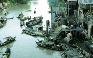 Xem 'Đất rừng phương Nam': Con đường điện ảnh của Nguyễn Quang Dũng thêm thênh thang