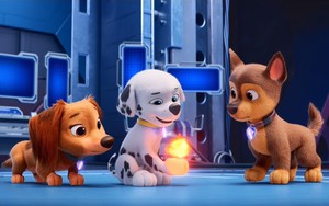 Những 'tân binh' phòng vé Bắc Mỹ 'bùng nổ'