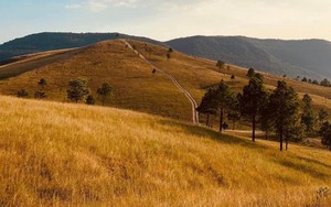 Tuổi còn trẻ, xăng lại rẻ, xách balo đến đỉnh Phượng Hoàng như ở Đà Lạt thu nhỏ ngay sát Hà Nội