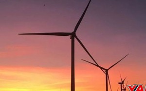 Săn ảnh đẹp tại cánh đồng quạt gió Bình Định, lên hình ngỡ trời Tây