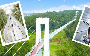 Đà Lạt hoàn thành cầu kính 7D, team mê cảm giác mạnh mê mẩn với hiệu ứng âm thanh nứt vỡ