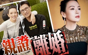 Cuộc hôn nhân của Chương Tử Di và Uông Phong đã rạn nứt từ lâu 