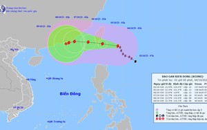 Bão KOINU có gió mạnh cấp 14, giật cấp 17
