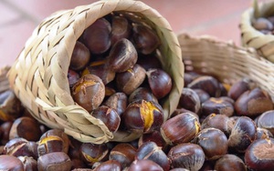 Ngẫm ngợi cuối tuần: Giang sơn cẩm tú