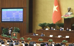 Kỳ họp thứ 6, Quốc hội khóa XV: Thông qua Luật Kinh doanh bất động sản sửa đổi