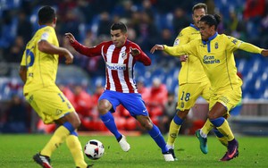Nhận định bóng đá Las Palmas vs Atletico (03h00 hôm nay 4/11), vòng 12 La Liga