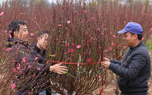 Chốt phương án nghỉ Tết Âm lịch 7 ngày, nghỉ lễ Quốc khánh 4 ngày