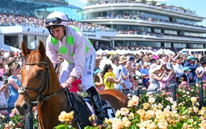 Sự kiện thể thao hoành tráng bậc nhất hỗn loạn với cảnh tượng người say xỉn, nằm vật trên đường đua 