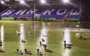 Ngỡ ngàng cảnh sân bóng CLB Anh bị ngập úng, vịt bơi như chỗ không người