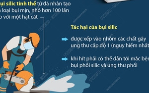 Australia - quốc gia đầu tiên cấm đá nhân tạo trên thế giới
