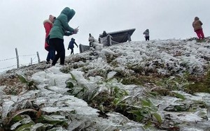 Miền Bắc rét đậm, vùng núi có khả năng xảy ra băng giá, sương muối