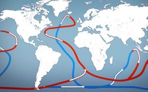 Australia lập bản đồ dòng hải lưu mạnh nhất thế giới