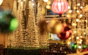 Rừng thông Noel từ tre và hạc giấy đậm nét văn hoá Việt ở Hà Nội