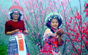 Rực rỡ sắc hoa trên đèo Pha Đin