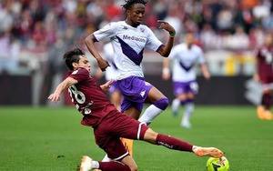 Nhận định bóng đá Fiorentina vs Torino, Serie A vòng 18 (00h30 hôm nay 30/12)