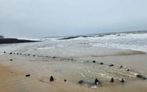 Lấy mẫu đồng vị carbon để xác định niên đại tàu vừa phát lộ ở vùng biển Hội An