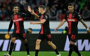 Nhận định bóng đá Leverkusen vs Paderborn, Cúp Quốc gia Đức vòng 1/8 (00h00 hôm nay)