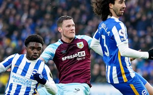 Nhận định bóng đá Brighton vs Burnley, vòng 16 Ngoại hạng Anh (22h00 hôm nay)